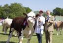 A winning cow at last year's County Show