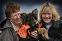 Give a dog a home: Colleen Godfrey, Alfie and Linda Bond 