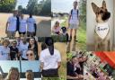 A collection of photos from fundraising walks held across the country on September 5