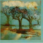 Carole Smollan - Shadow Tree