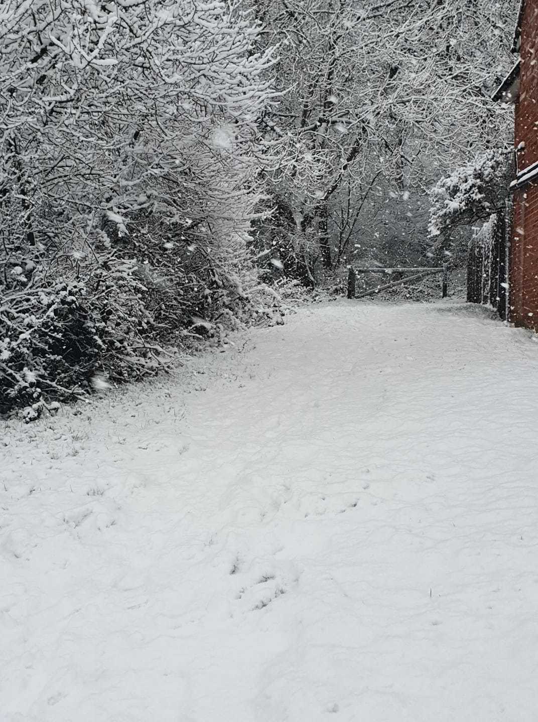 Rhonnie Mann says the Oxhey Woods entrance was covered in snow