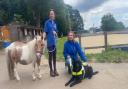 Jenny Bridger,left, and Paula Netley are raising money for Penniwells Riding School