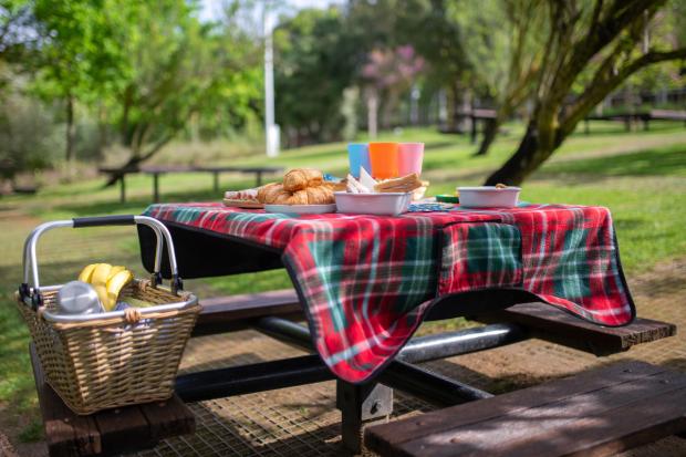 Borehamwood Times: A picnic laid out on a bench. Credit: Canva