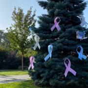 This tree in Borehamwood has been decorated in blue and pink ribbons. Credit: Tina Nandha