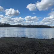 Aldenham Reservoir