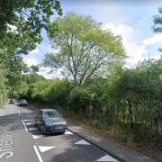 Land pictured to the right of these bushes in Radlett Lane/Shenley Road, Radlett, is earmarked for development. Image: Google Street View