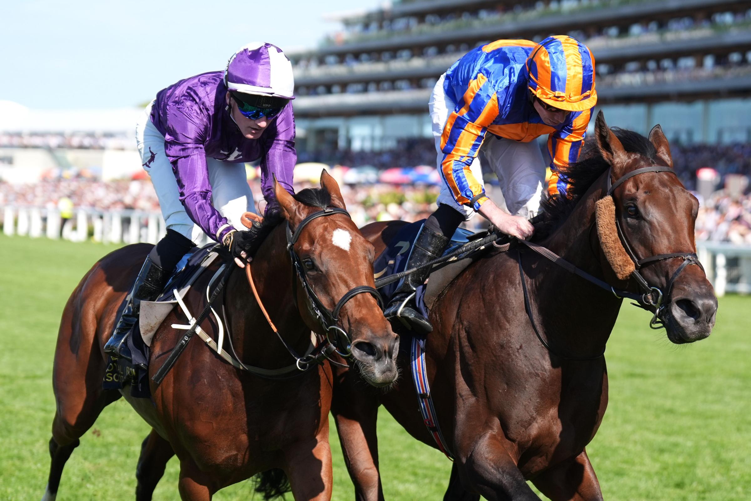 Causeway paves the way to another for O’Brien and Moore